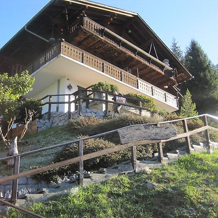 Chalet Erica Apartman Jaun Kültér fotó
