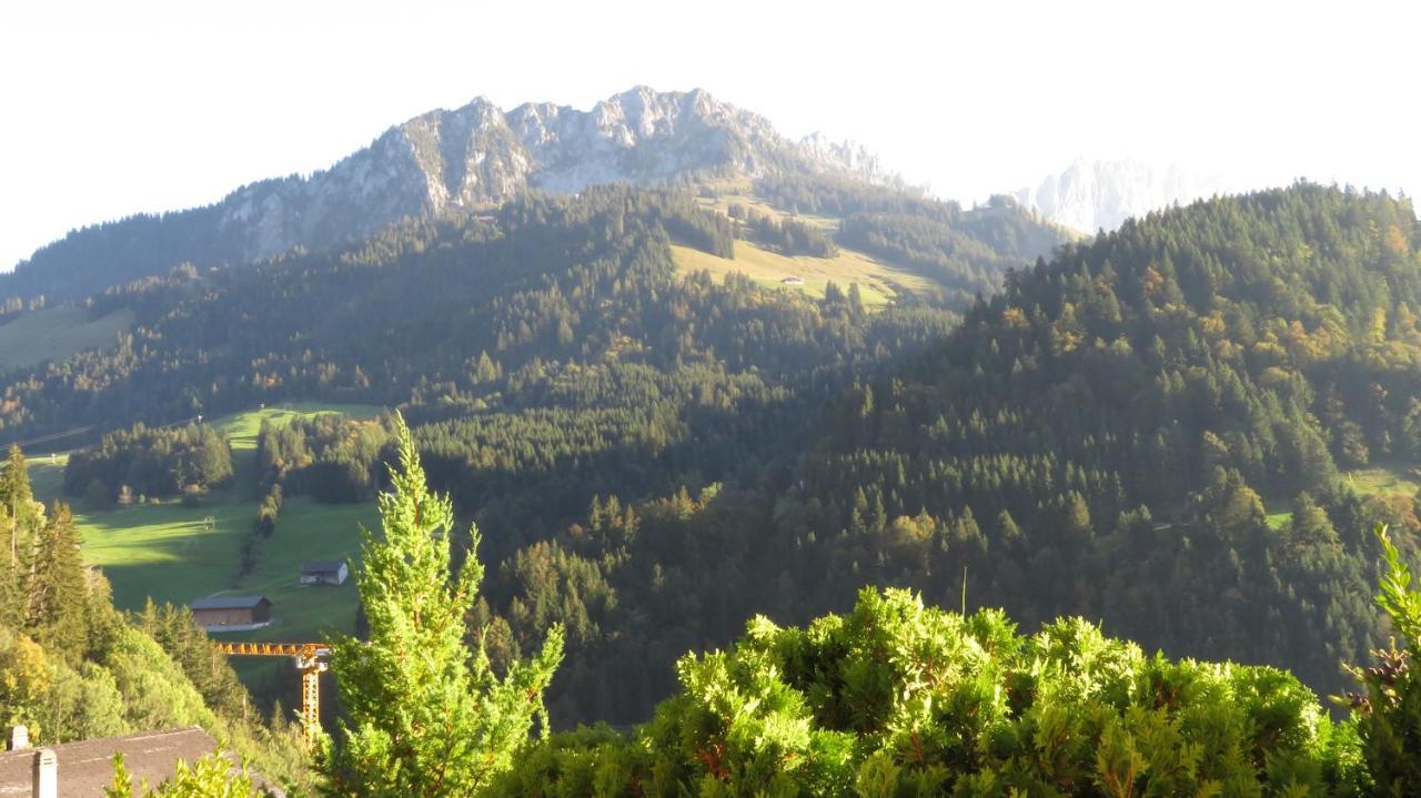 Chalet Erica Apartman Jaun Kültér fotó