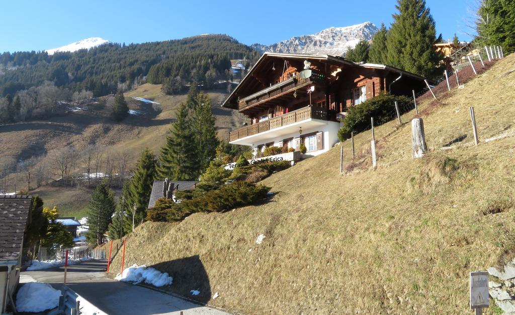 Chalet Erica Apartman Jaun Kültér fotó