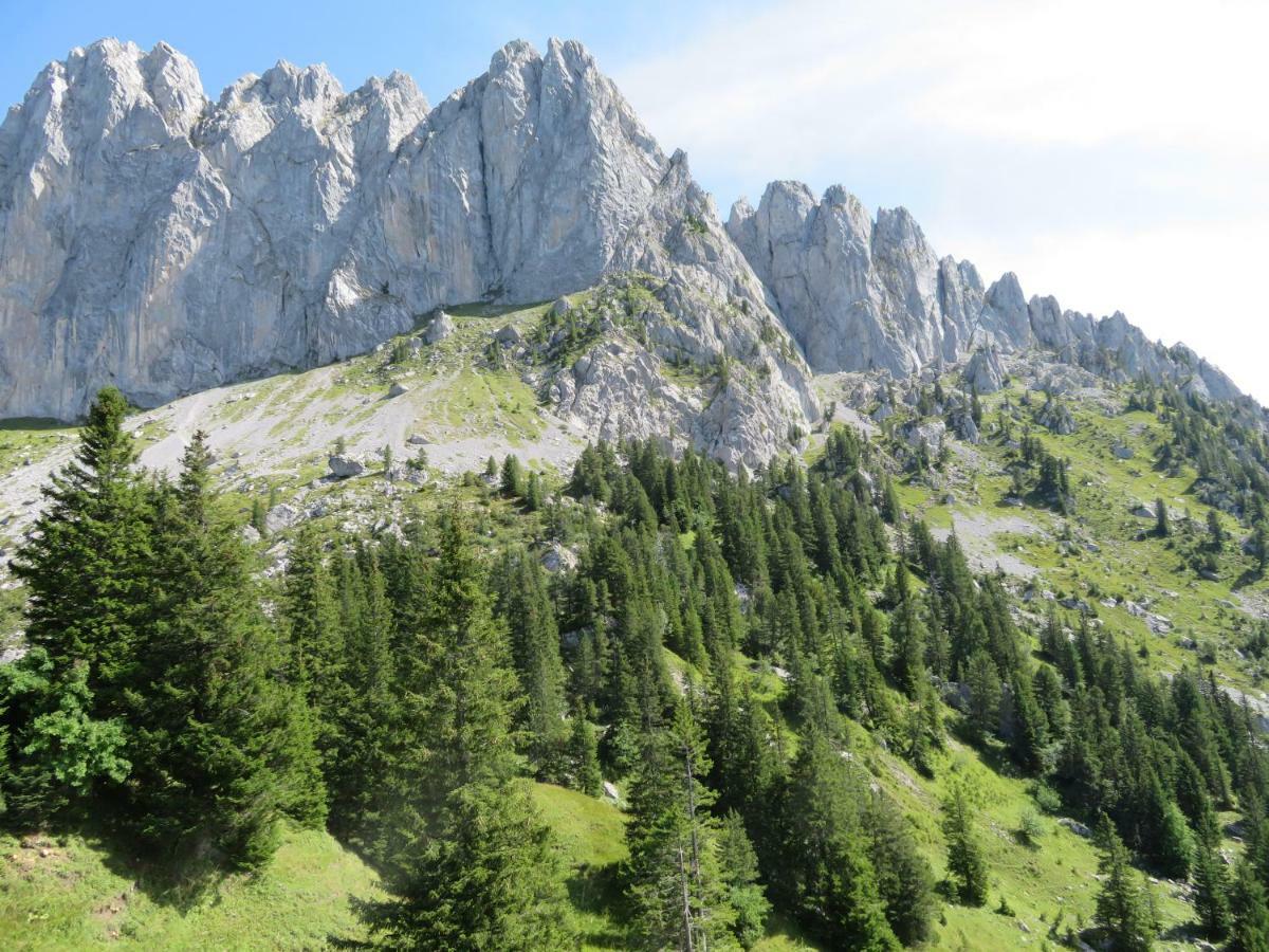 Chalet Erica Apartman Jaun Kültér fotó